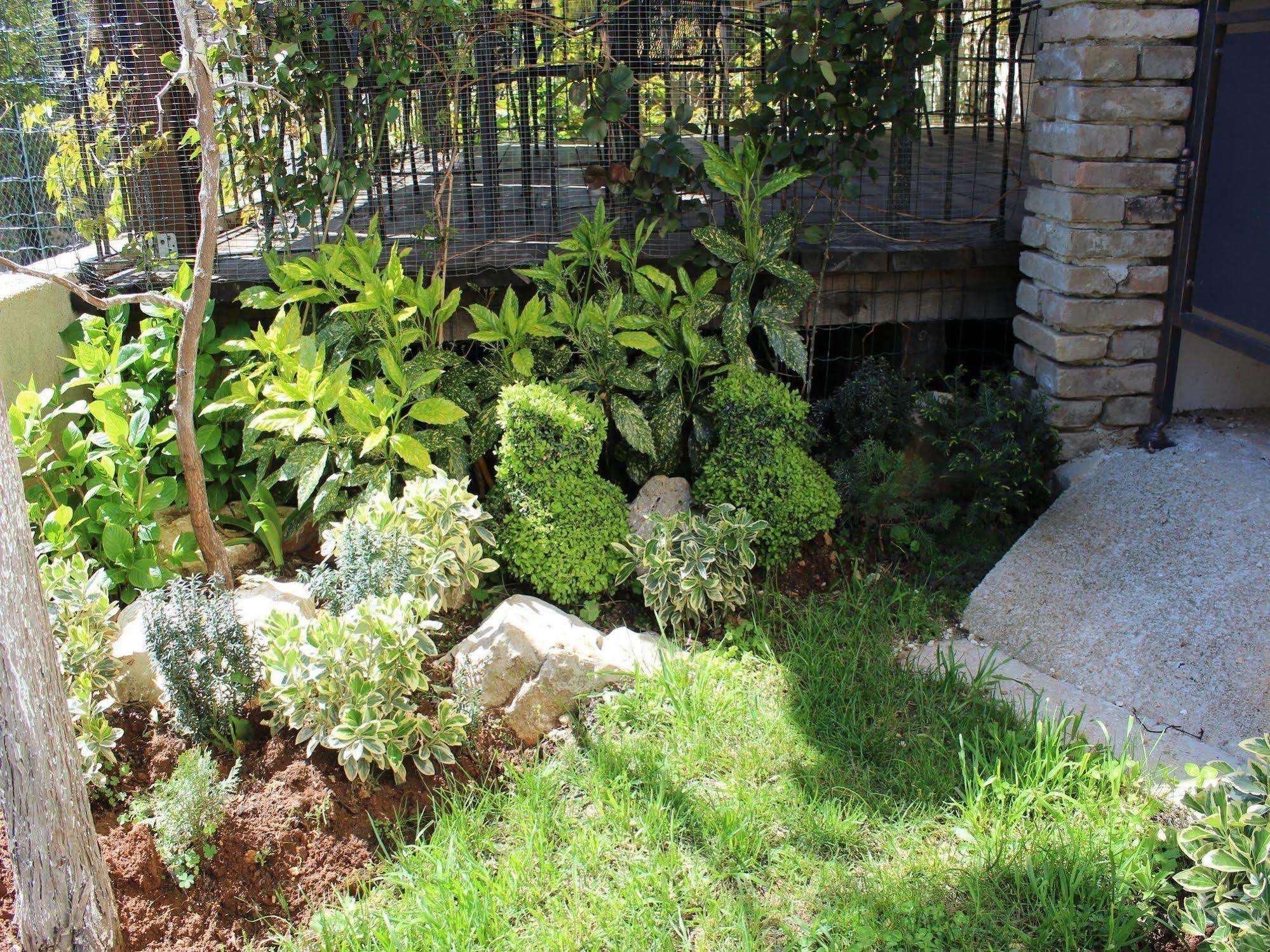 רוביני Rooms And Apartment Feral מראה חיצוני תמונה